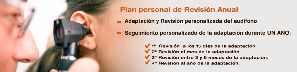 plan anual revision